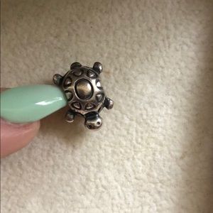 Pandora Jewelry - Pandora charm Pandora Jewelry - Pandora charm